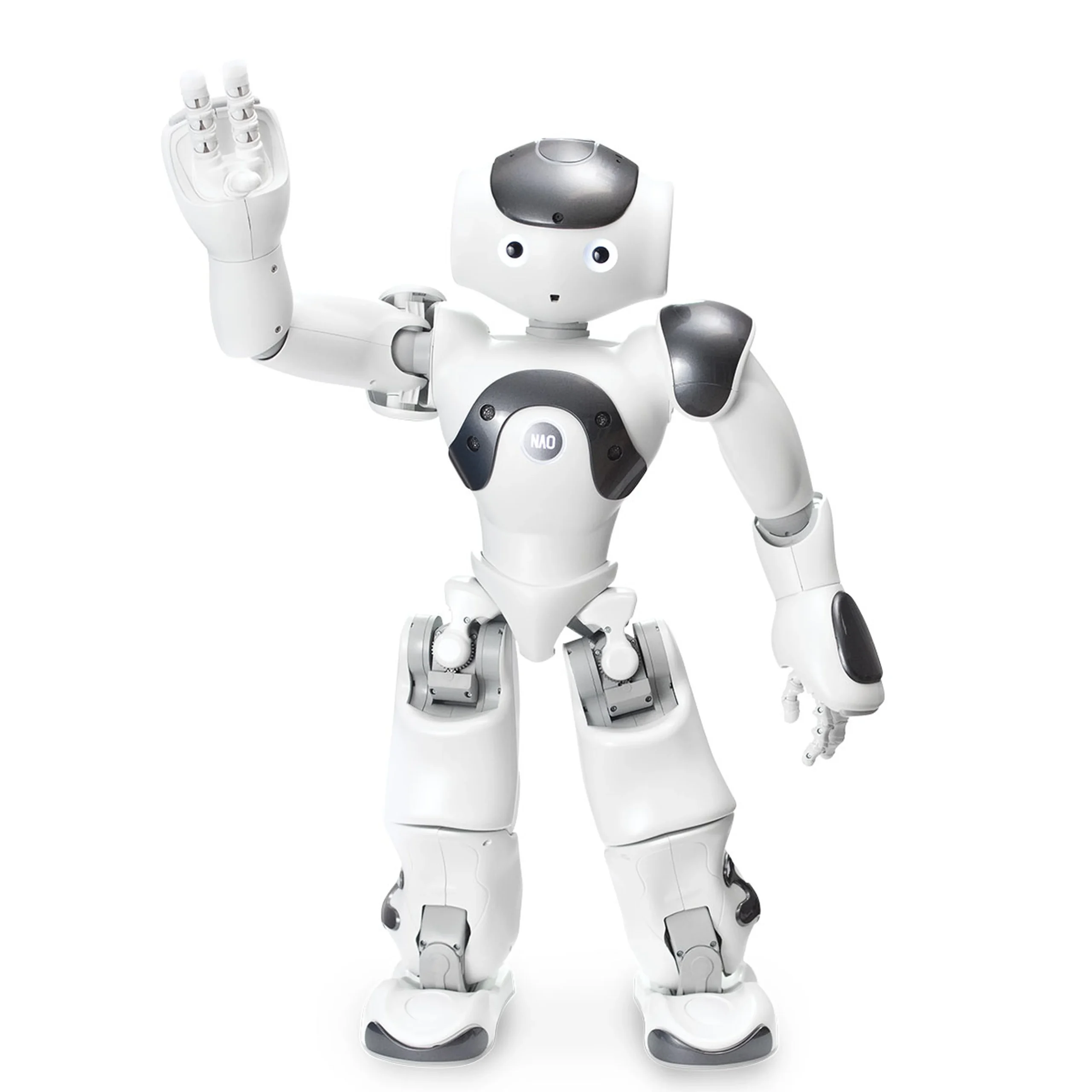 NAO v6