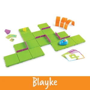 Robot Mouse Activity Set