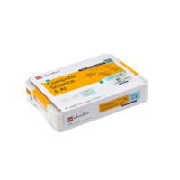 LEGO® Education Informatics and AI A’-B’-C’ High School